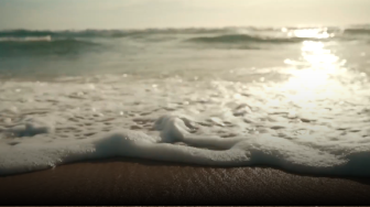 Trancoso Na Comporta 2019